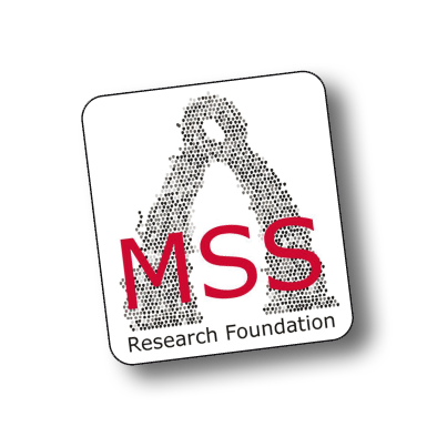 logo mss